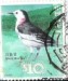 10$ Wagtail 10$ Wagtail